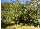 Участок 6 сот. ИЖС