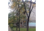 Сдается комната, в квартире есть все необходимое.