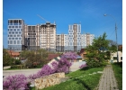 Продается уютная студия 22.8 квадратных метра на 10 этаже в ЖК Гарантия на Обры